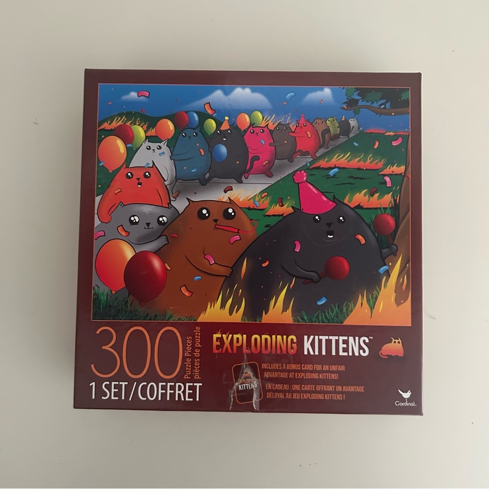 300 Piece Puzzle